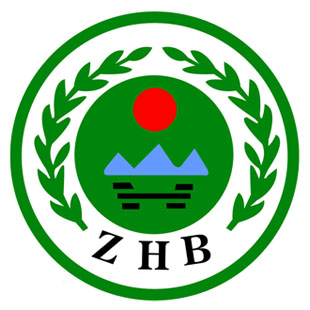 中國環保